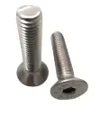 ALLEN CSK BOLT 8X25