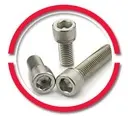 SSS GRAB 4X10